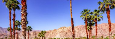 San Jacinto Dağı, Palm Springs, California