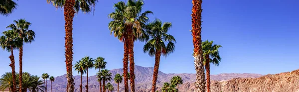 San Jacinto Mountain, Palm Springs, Kalifornie — Stock fotografie