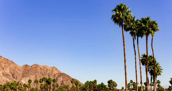 San jacinto mountain, palm springs, califórnia — Fotografia de Stock