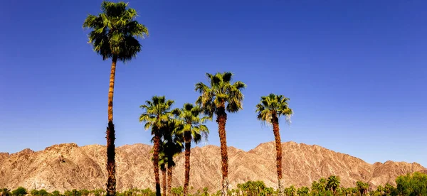 山，棕榈泉，加州 — 图库照片