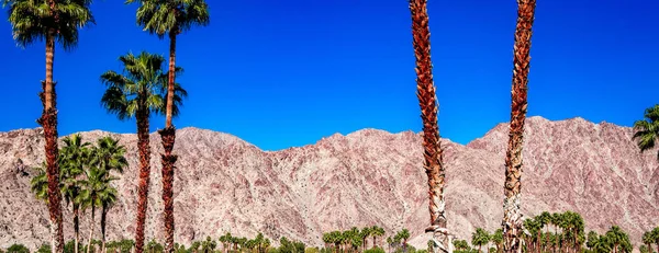 San jacinto montagne, sources de palmiers, californie — Photo
