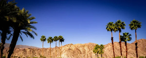San jacinto mountain, palm springs, califórnia — Fotografia de Stock