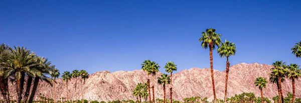San Jacinto Dağı, Palm Springs, California