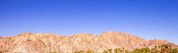 San Jacinto berg, palmveren, Californië — Stockfoto