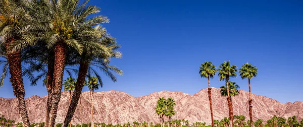 San Jacinto Mountain, Palm Springs, Kalifornie — Stock fotografie