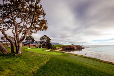 Pebble Beach golf sahası, Monterey, Kaliforniya, ABD