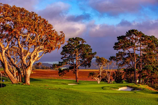 Pebble Beach Golf Sahası Monterey Kaliforniya Abd — Stok fotoğraf