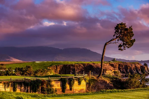 Pebble Beach Golf Course Monterey Kalifornien Usa — Stockfoto