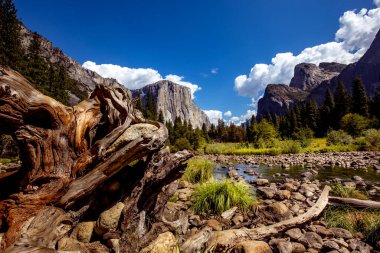 El Capitan 'ın dünyaca ünlü kaya tırmanışı duvarı, Yosemite Ulusal Parkı, Kaliforniya, ABD