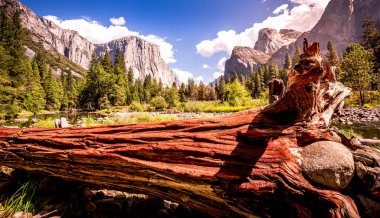El Capitan 'ın dünyaca ünlü kaya tırmanışı duvarı, Yosemite Ulusal Parkı, Kaliforniya, ABD