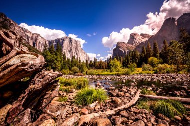 El Capitan 'ın dünyaca ünlü kaya tırmanışı duvarı, Yosemite Ulusal Parkı, Kaliforniya, ABD