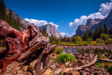 El Capitan 'ın dünyaca ünlü kaya tırmanışı duvarı, Yosemite Ulusal Parkı, Kaliforniya, ABD