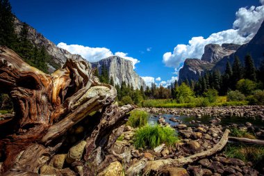 El Capitan 'ın dünyaca ünlü kaya tırmanışı duvarı, Yosemite Ulusal Parkı, Kaliforniya, ABD