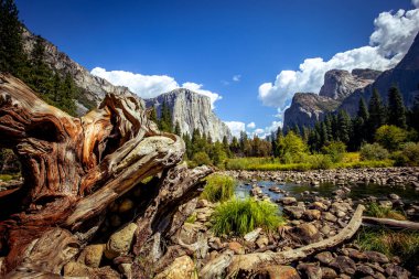 El Capitan 'ın dünyaca ünlü kaya tırmanışı duvarı, Yosemite Ulusal Parkı, Kaliforniya, ABD