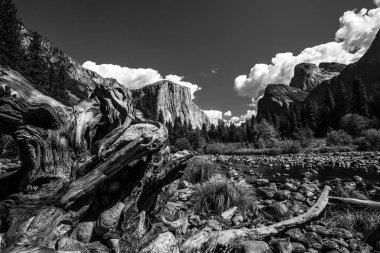 El Capitan 'ın dünyaca ünlü kaya tırmanışı duvarı, Yosemite Ulusal Parkı, Kaliforniya, ABD