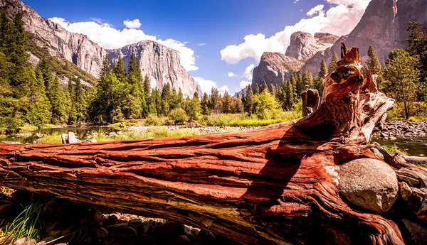 美国加利福尼亚州约塞米蒂国家公园El Capitan世界著名的攀岩墙 — 图库照片