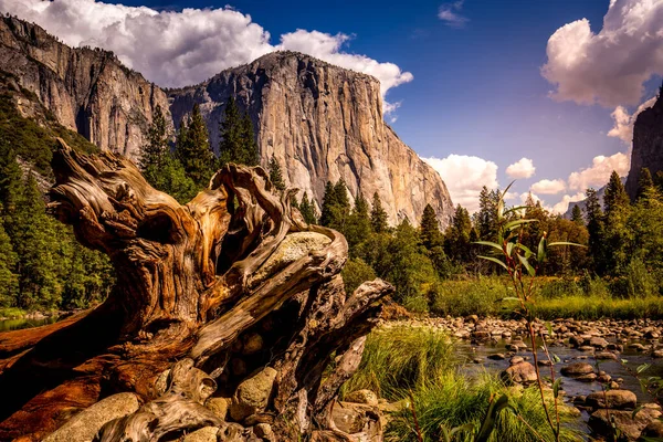 Muro Escalada Roca Mundialmente Famoso Capitán Parque Nacional Yosemite California — Foto de Stock