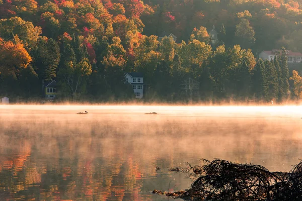 Widok Lac Superieur Laurentides Mont Tremblant Quebec Kanada — Zdjęcie stockowe