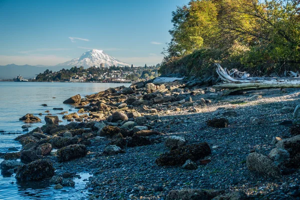 Shoreline And Rainier 7 — Stock Photo, Image