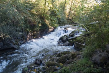 Nehir ve balık merdiven 3