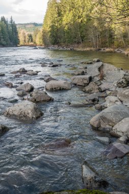 Snoqualmie Nehri kıyısındaki 2