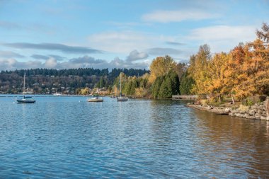 Tekneler Coulon Park