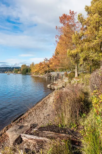 Coulon Park no outono 6 — Fotografia de Stock