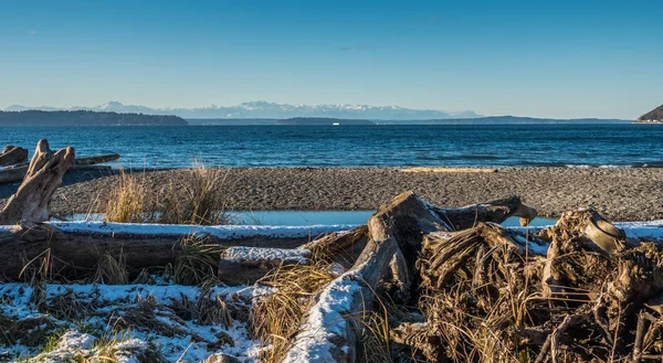 Inverno Puget Sound Paesaggio 4 — Foto Stock