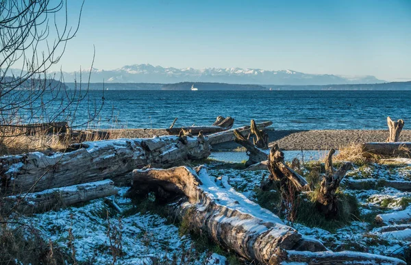 Vinter Puget Sound landskap 2 — Stockfoto
