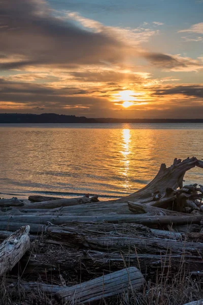 Pacific Northwest Sunset 3 — Stok Foto