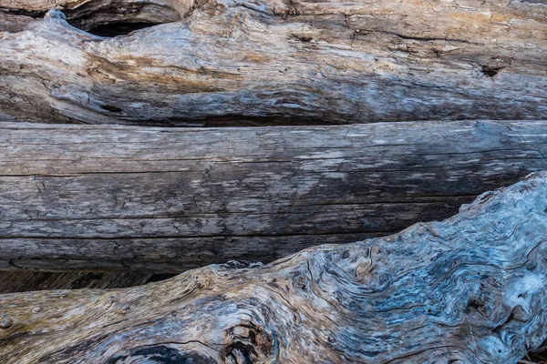 Tre tronchi di legno driftwood Primo piano — Foto Stock