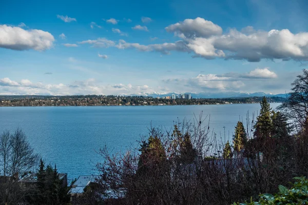 Bellevue Skyline and Mountains 3 — Stock Photo, Image