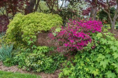 Batı Seattle Park 2