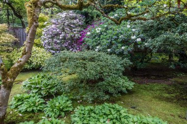 Çiçekler ve bitkiler peyzaj