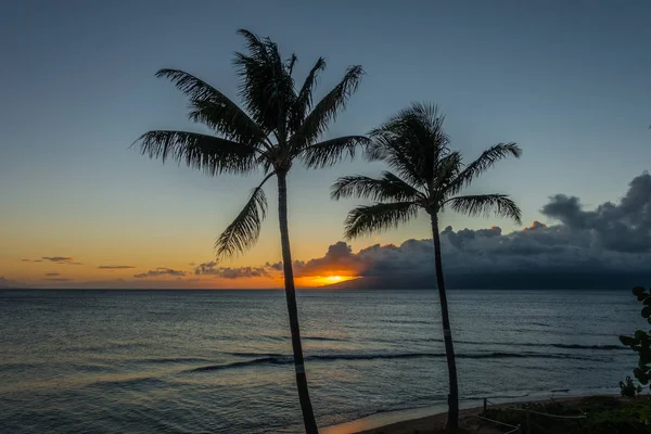 Zwei Bäume und Sonnenuntergang — Stockfoto