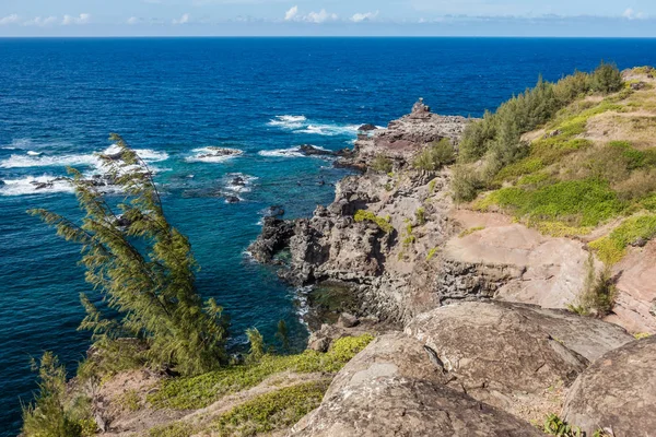 Kayalık Maui kıyı 3