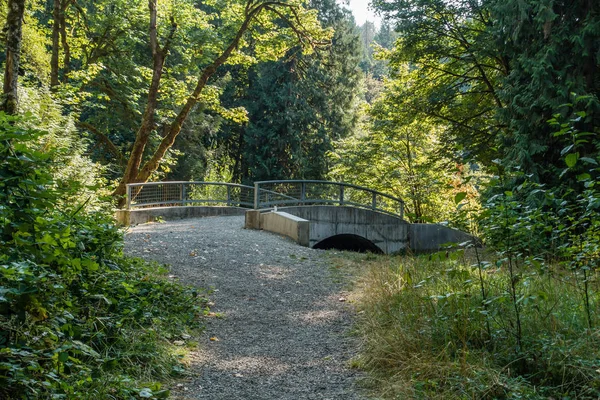 Ponte do parque e árvores — Fotografia de Stock