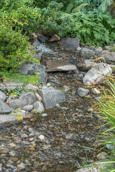 Kayalık akarsu manzara