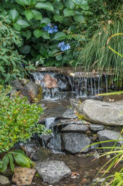 Akış ve mavi çiçek 5