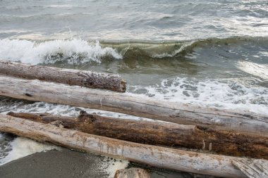 Günlükleri ve Shorebreak