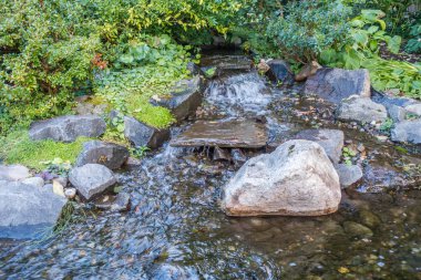 Rocky Streem manzara