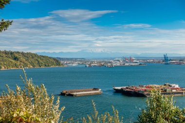 Tacoma bağlantı noktası ve Rainier