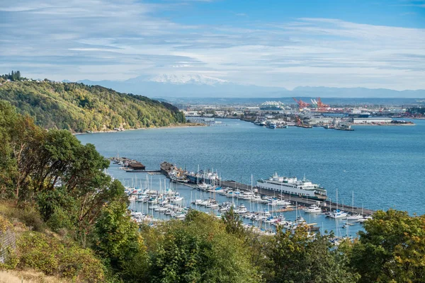 Porto de Tacoma e Rainier 6 — Fotografia de Stock