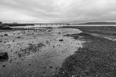 Puget Sound dere akar.