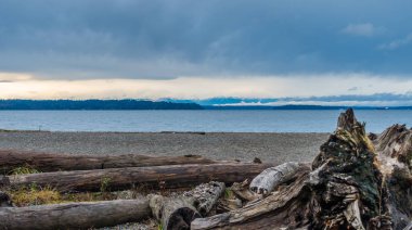 Okyanus ve dağ manzarası