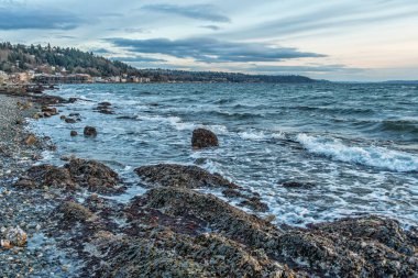 Fırtınalı Batı Seattle sahil 2