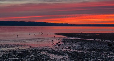 Kırmızı Puget Sound günbatımı 2