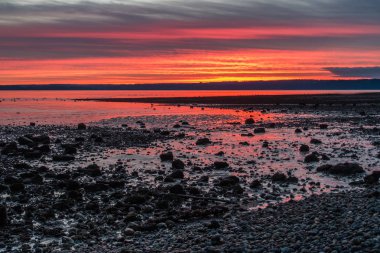 Parlak kıyı günbatımı 2