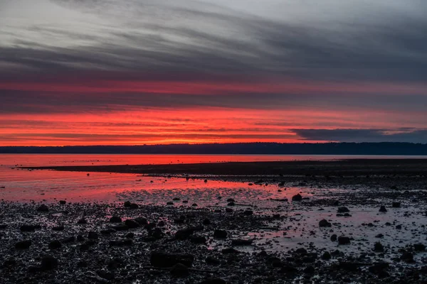 Brilliant Shoreline Sunset 5 — Stok Foto
