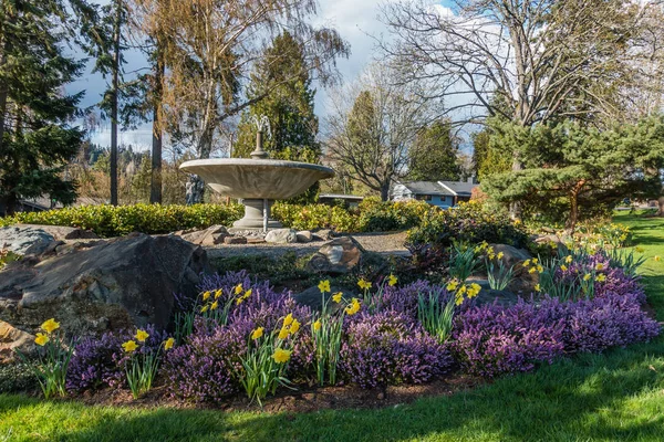 Heather And Daffodils 2 — Stock Photo, Image